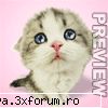 pupic pe totzi!si sper sa va placa si voua aici sall 2 all